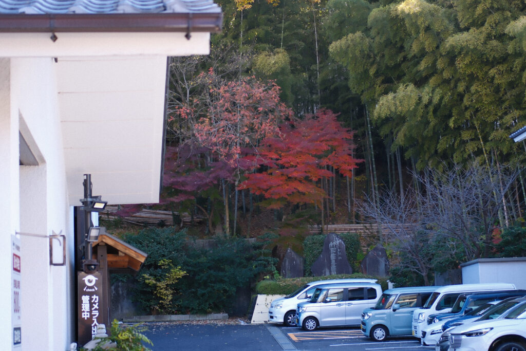 駐車場の向こうにある綺麗な紅葉