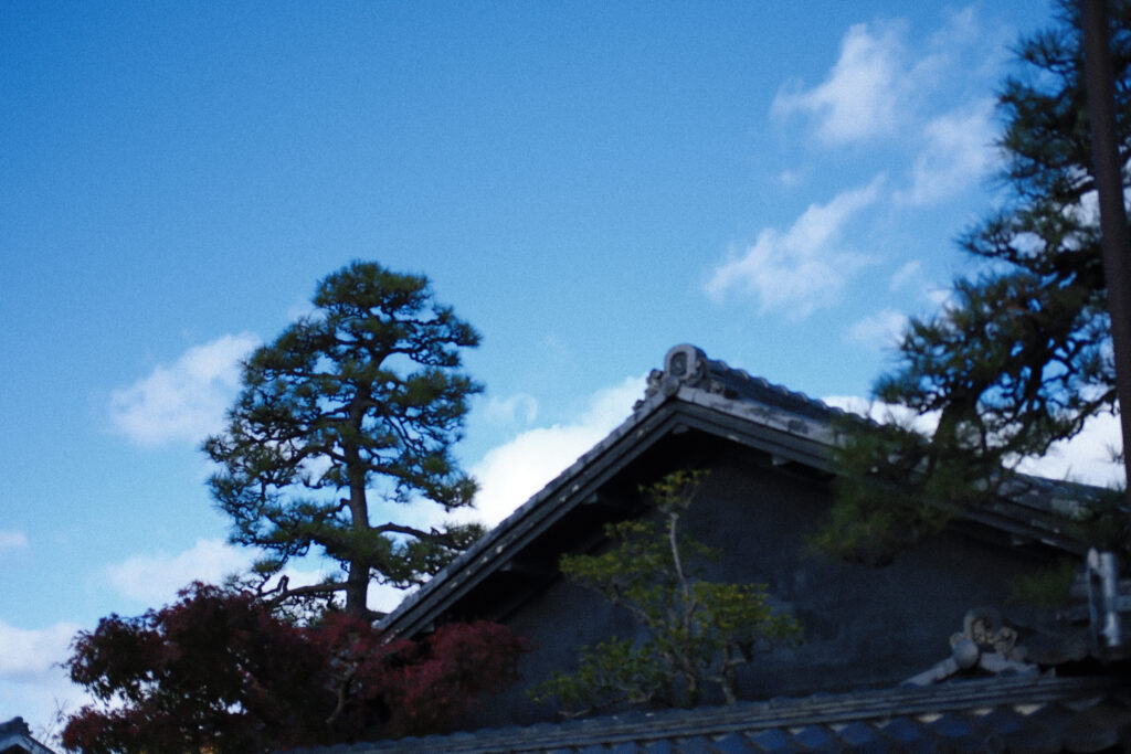 綺麗な空