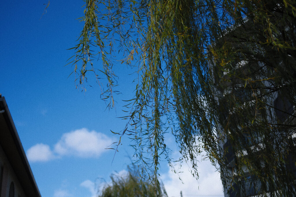 綺麗な空