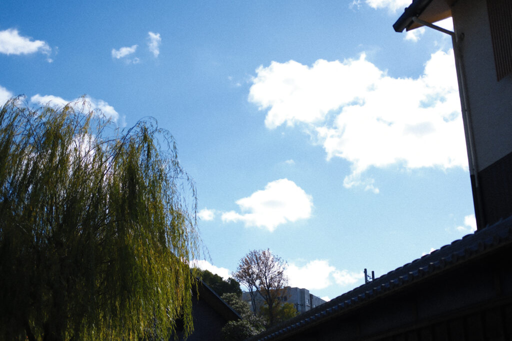 綺麗な空