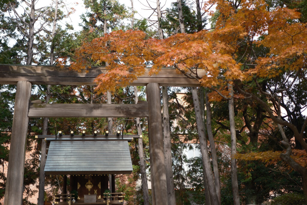 鳥居と紅葉