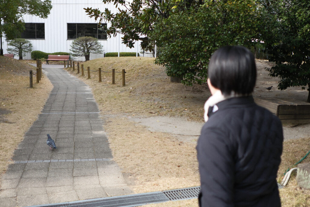 鳩を追いかける奥さん