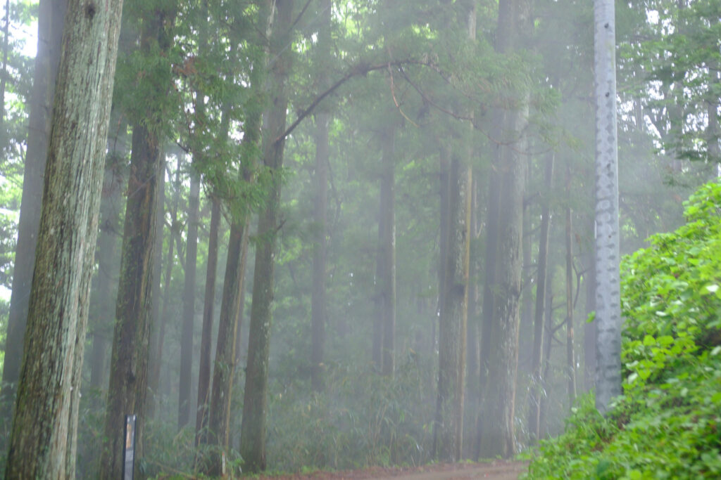 岩村城跡へ続く山道