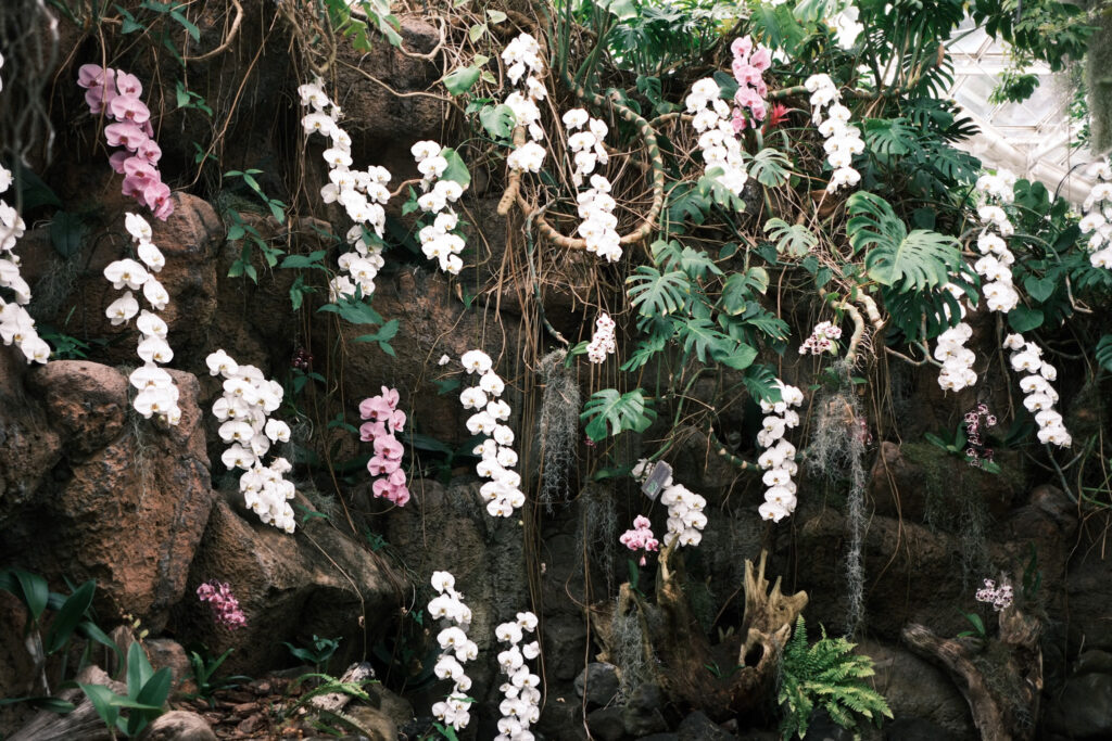 ぎふワールド・ローズガーデンの花の地球館