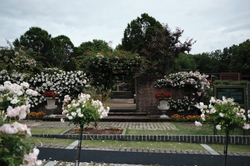 ぎふワールド・ローズガーデンの薔薇