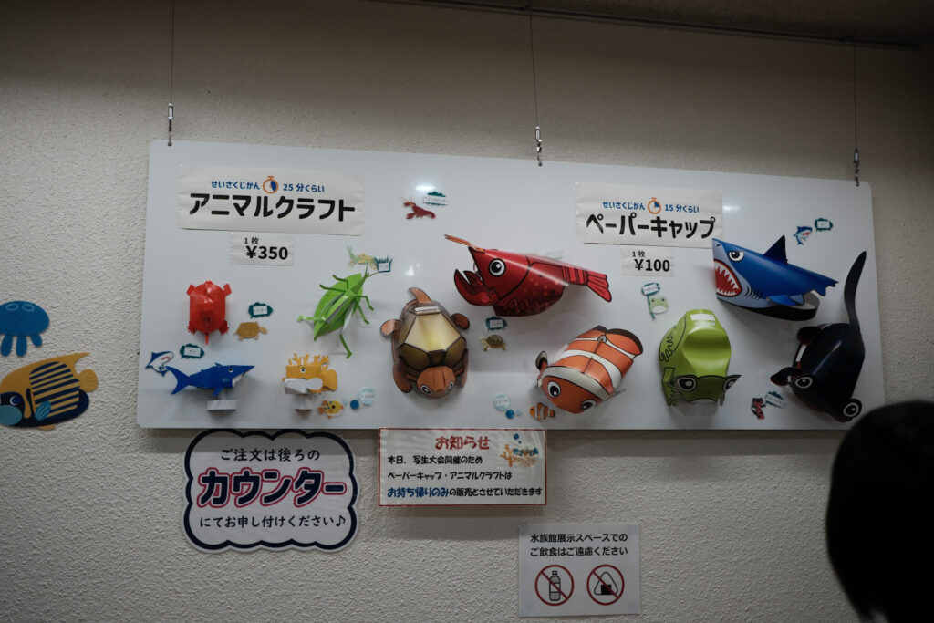 碧南海浜水族館のアニマルクラフトとペーパーキャップ